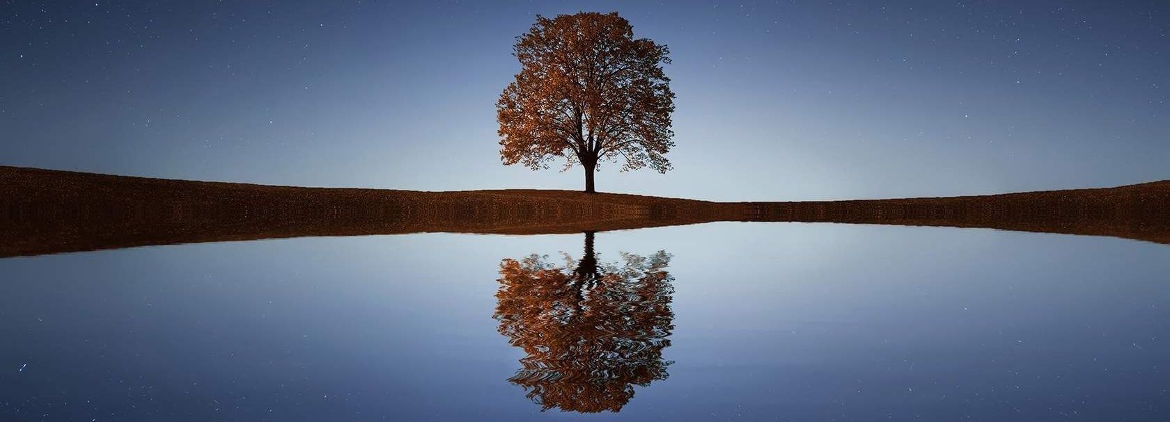 Reflection